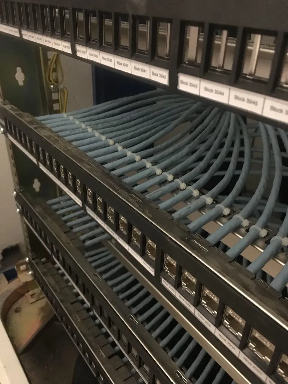 Blue Ethernet patch panels and structured cabling