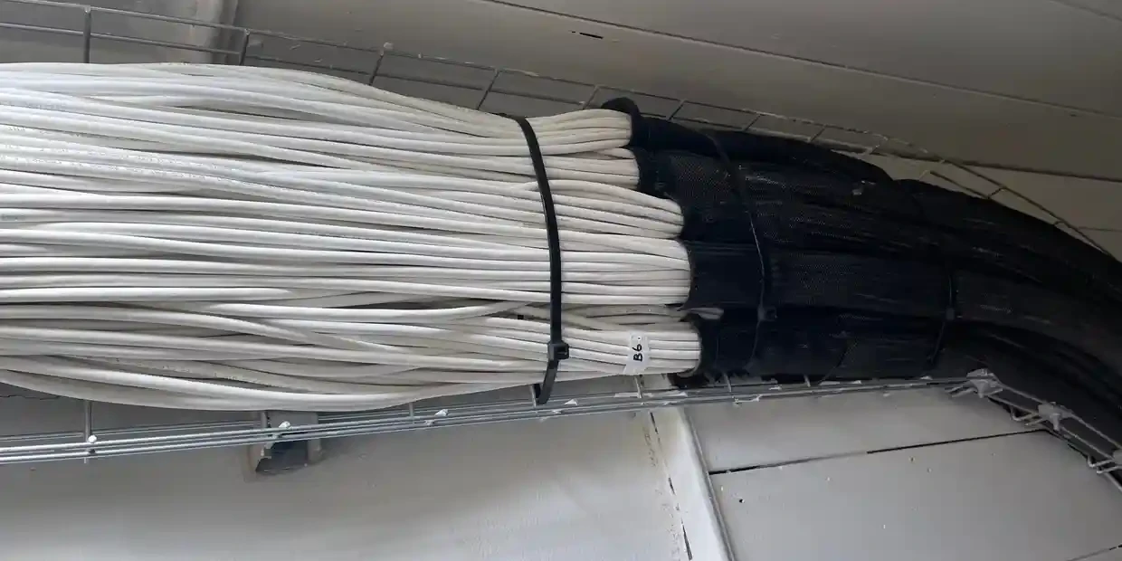 Ceiling cable tray with organised white and black cabling